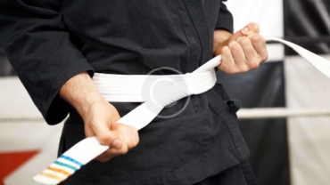 Karate belt system and acknowledgements